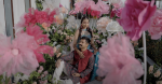 Wedding Reels